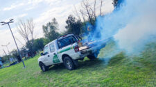 fumigaciones dengue lanús